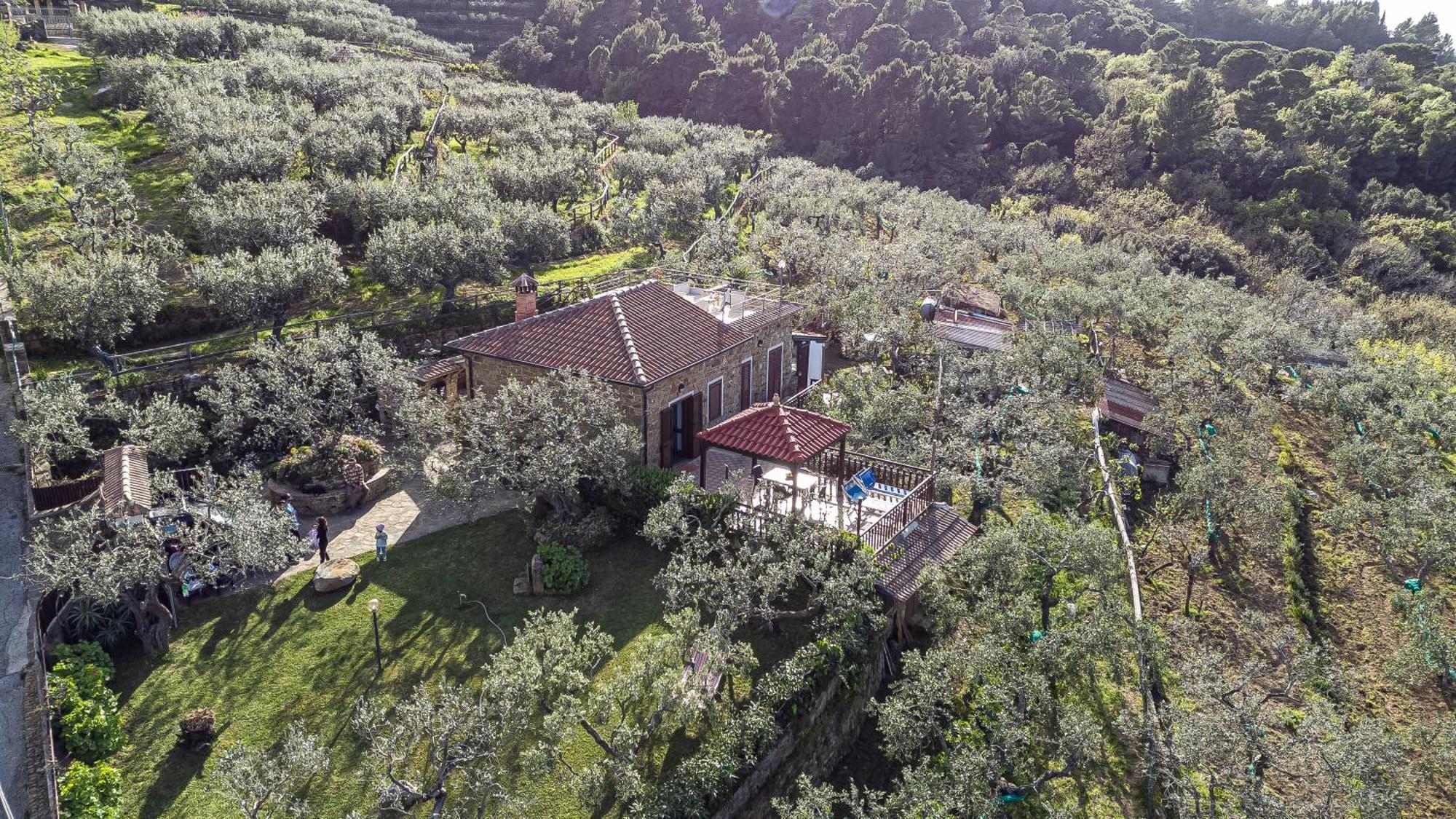 Bellezza In Cilento Panoramic Apts Castellabate Exterior foto