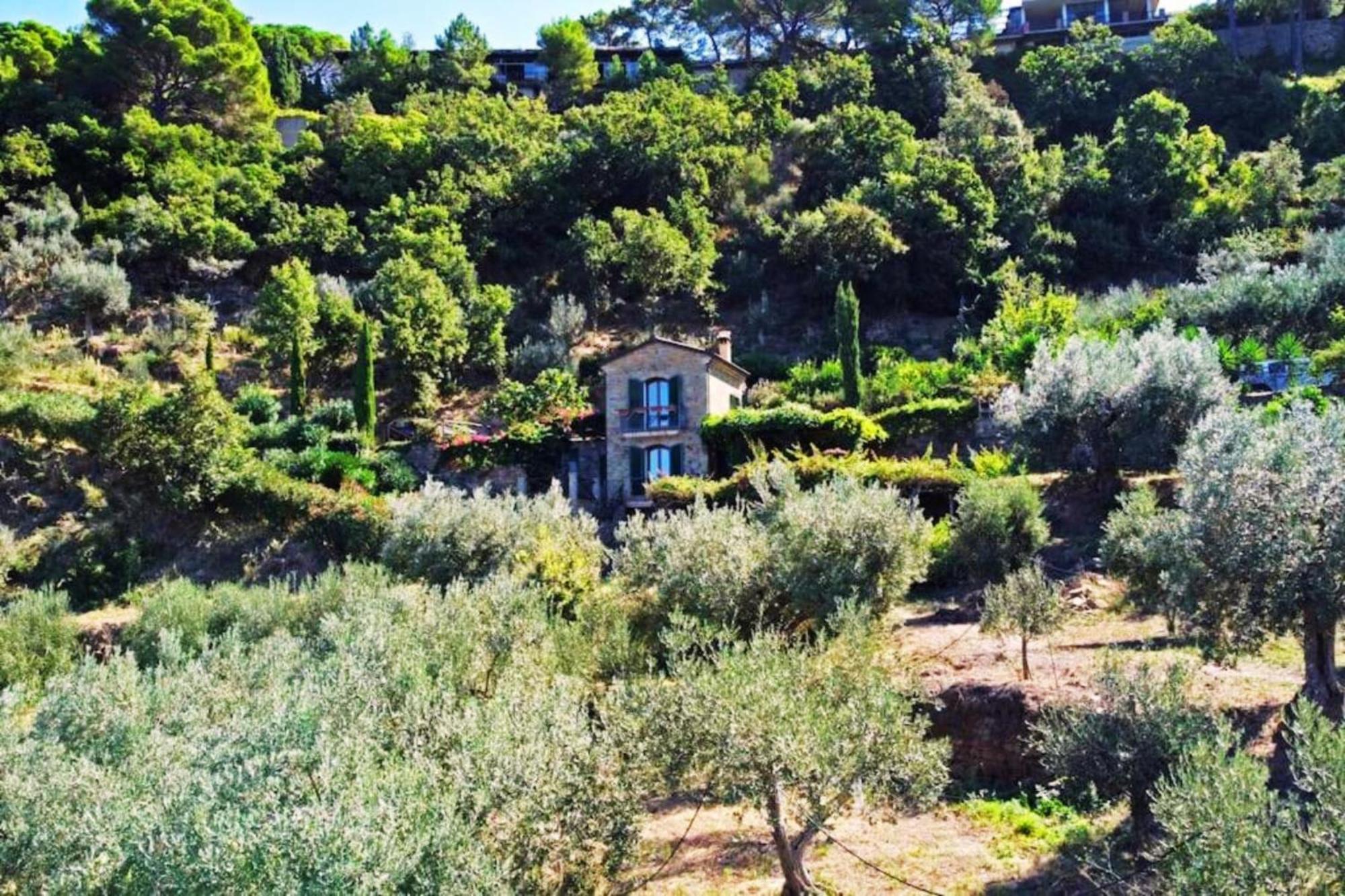 Bellezza In Cilento Panoramic Apts Castellabate Exterior foto